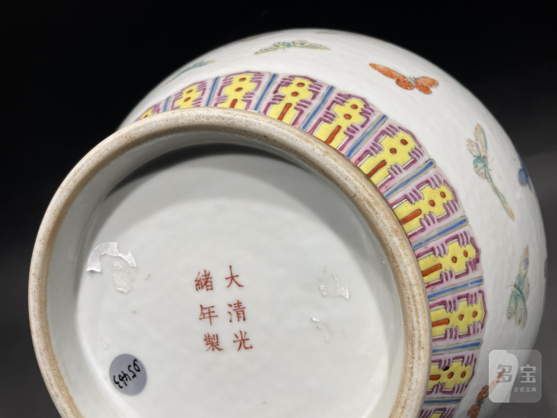 清光绪 粉彩百蝶纹赏瓶 - 图11